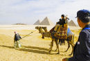 Voyage en Egypte à dos de chameau
